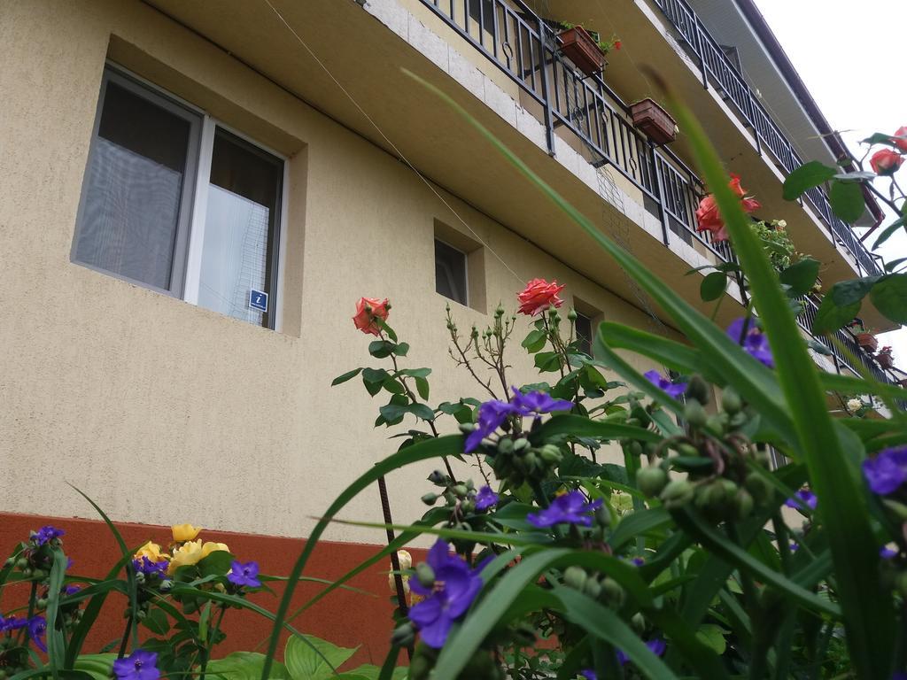 Vila Albatros Vama Veche Esterno foto