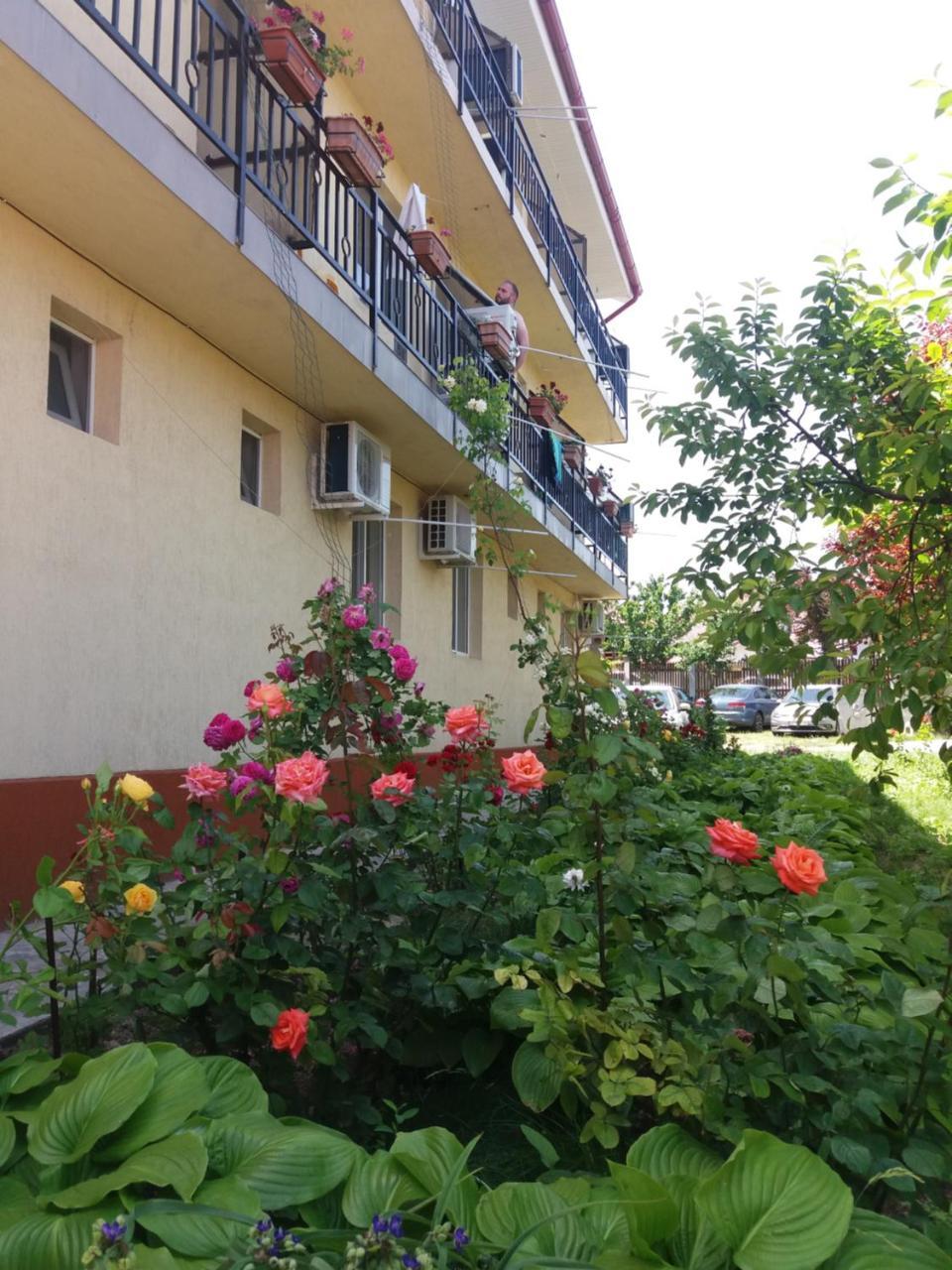 Vila Albatros Vama Veche Esterno foto